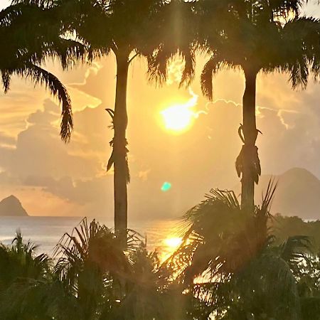Superbe Studio Martinique Vue Rocher Du Diamant Sainte-Luce Esterno foto